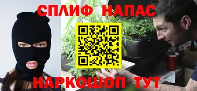 шишки Новозыбков