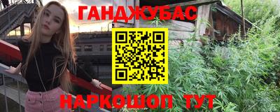 шишки Новозыбков