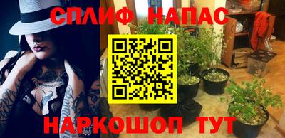 эйфоретик Новокубанск