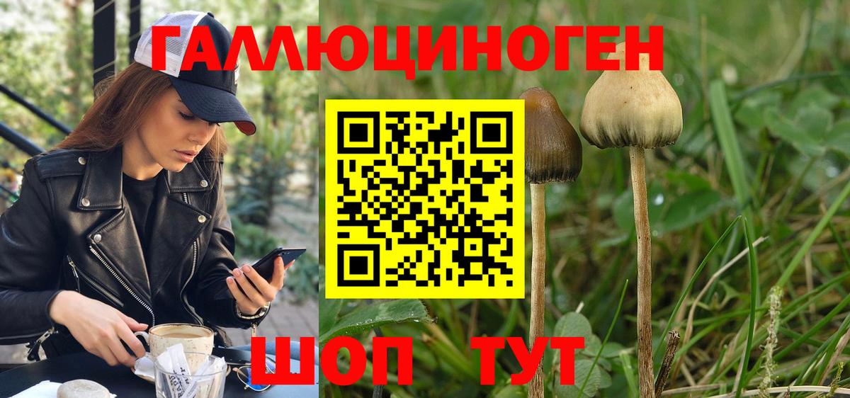 Псилоцибиновые грибы MAGIC MUSHROOMS Среднеуральск