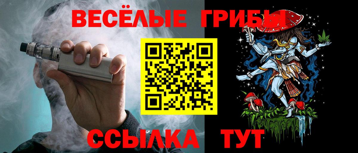 Среднеуральск  Псилоцибиновые грибы прущие грибы  Псилоцибиновые грибы мицелий  Вход с VPN 
